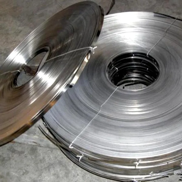 
Cold/hot Rolled Galvanized Steel Strip 