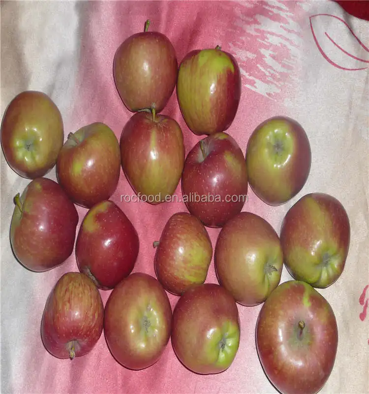 20kg carton 175/198 red star apple fruit