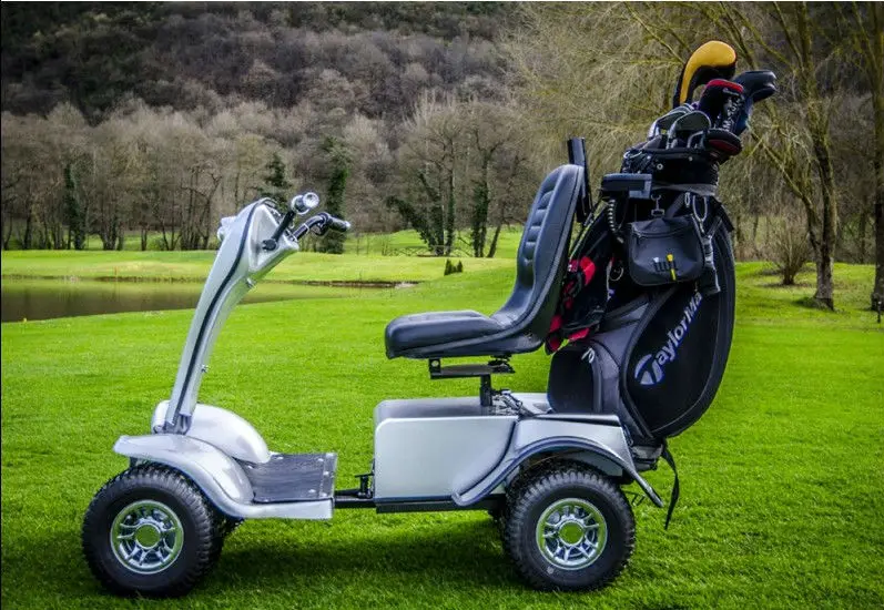 Single seat 24V 800W electric golf buggy for sale