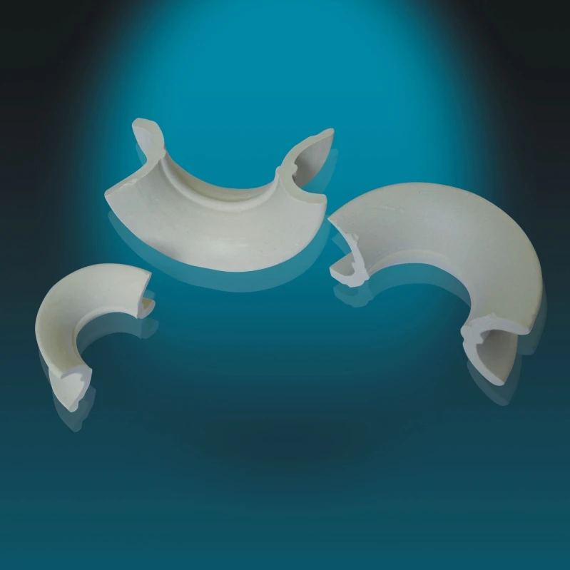 
Ceramic Intalox Saddle For RTO Media 