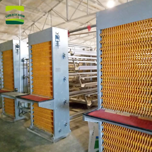 Poultry egg collection system Egg Collecting System egg collecting automation poultry farming equipment