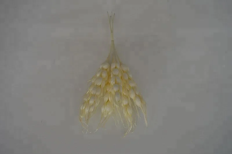 wholesale cheap artificial  wheat
