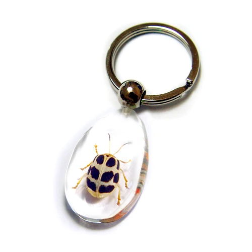 Cool Real Insects Scorpion Resin Specimen Keychain Keyring Custom Make Factory Price Mix Order Promotional Educational Gift