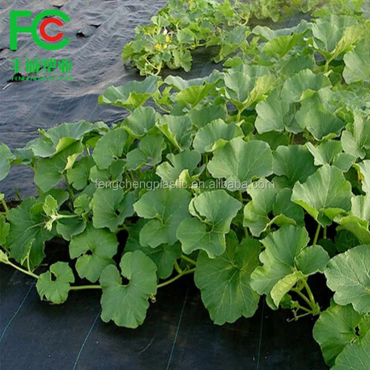 Сетка против сорняков, коврик для клубничных растений, садовая ткань для борьбы с сорняками, лидер продаж