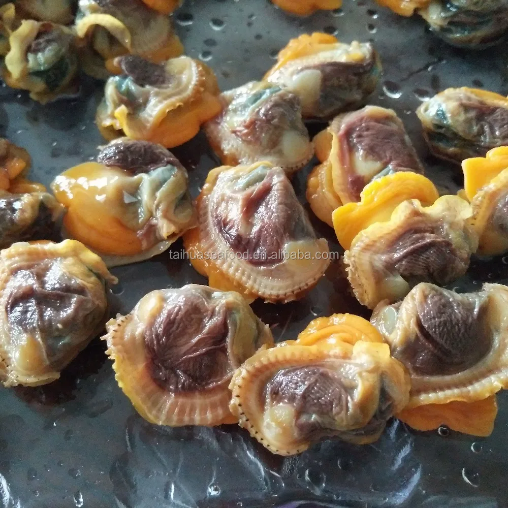 
Frozen boiled fresh blood clam meat 
