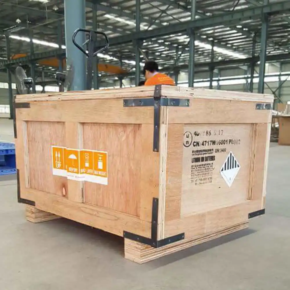 High Capacity LiFePO4 12V 24V 36V 48V 100AH lithium ion battery with BMS Monitoring System