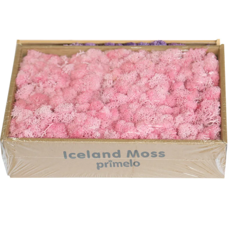 Soft Touch Preserved Moss Real Fresh Moss For   Wall Decoration