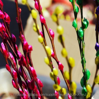 Приятный свежий срезанные цветы вербы Salix на Рождество и новый год сухой цветок