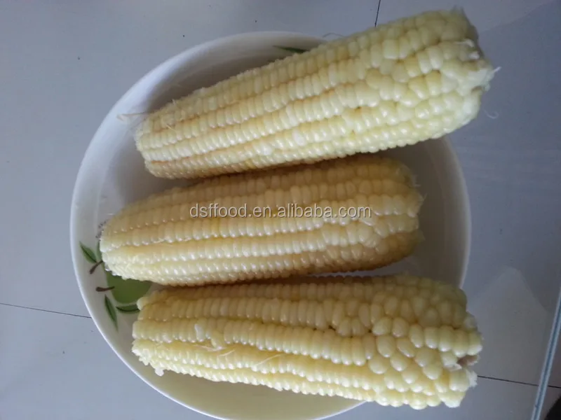 
supply BRC certified new crop IQF frozen sweet corn cob cut kernels high quality hot sale 