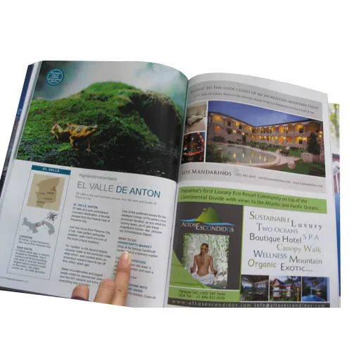 Porn magazine & Elegant porn magazine adult brochure magazine