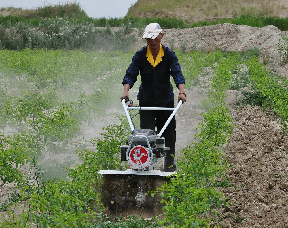 196cc выращивание клубники теплицах мотокультиватор