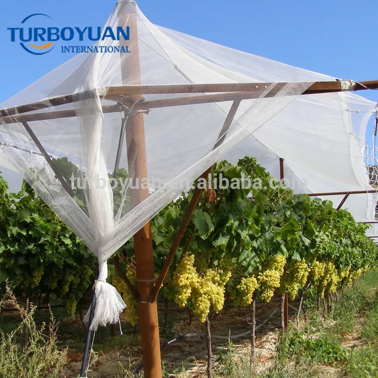 Woven knitted hail protection/guard net / Yemen selvage Anti Hail net for vineyard