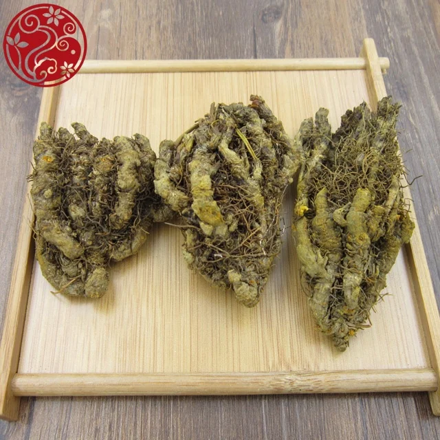 Coptis Root chinese goldthread whole Huang lian Clear heat and dry dampness