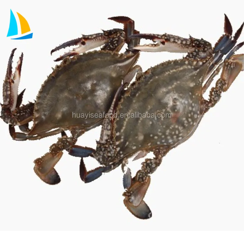 Весь «Холодное сердце» на пару синий краб плавания