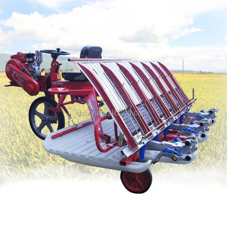 Low price rice paddy transplanter/planting machine for seedling