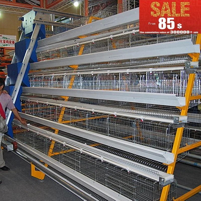 tanzania chicken farm layer cage system in poultry