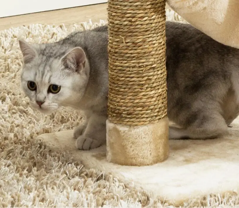 Cute  boom amusing cat scratcher with swing toy wholesale indoor cat furniture