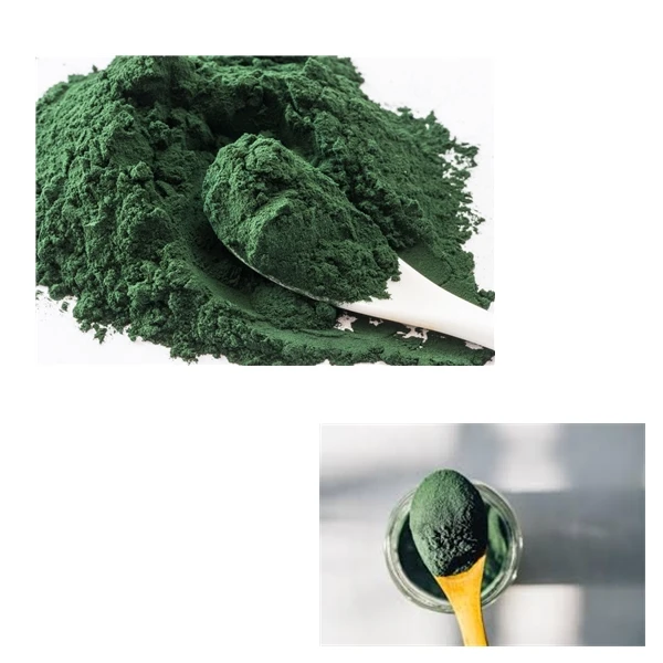 Top Quality Spirulina Powder Organic in Antioxidant