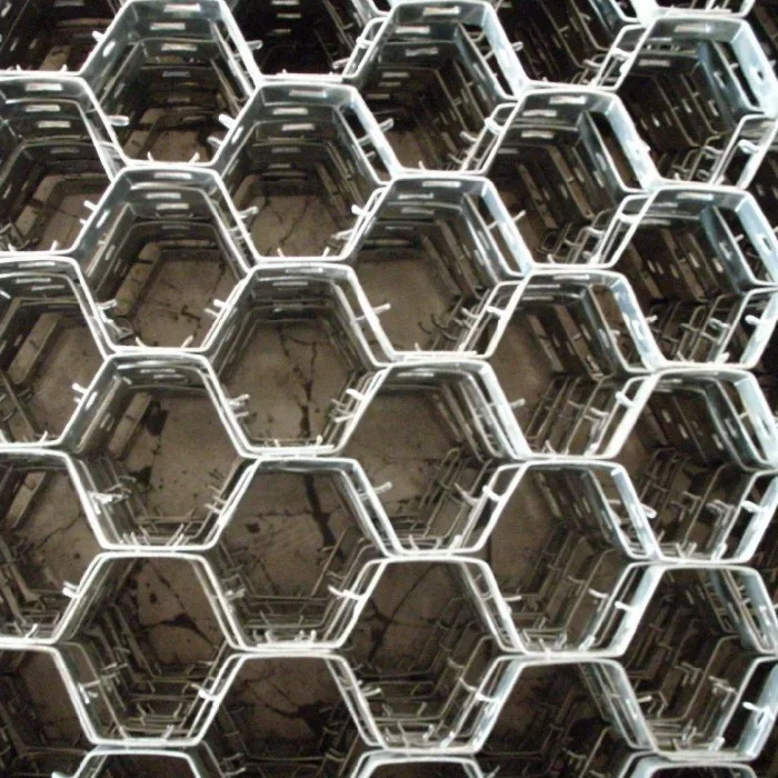 Hexagonal cellular mesh
