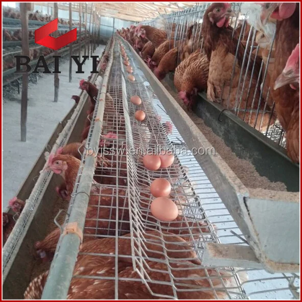 Cheap Chicken Coops Directly From Factory