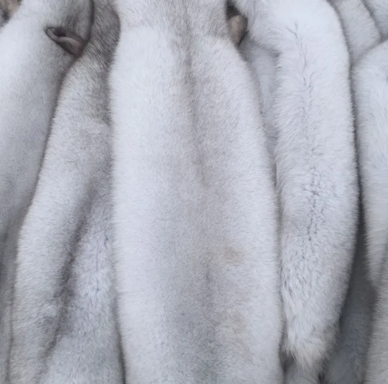 Factory direct blue fox leather high quality silver fox skin