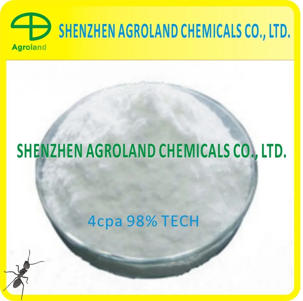 0.13% 4CPA + 0.13% BNOA SL , 4CPA 98% TC /95% DP 95%WTX 2.5% AS 10% WP