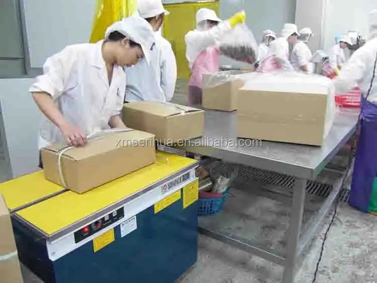 
fresh frozen catfish for African smoked catfish 