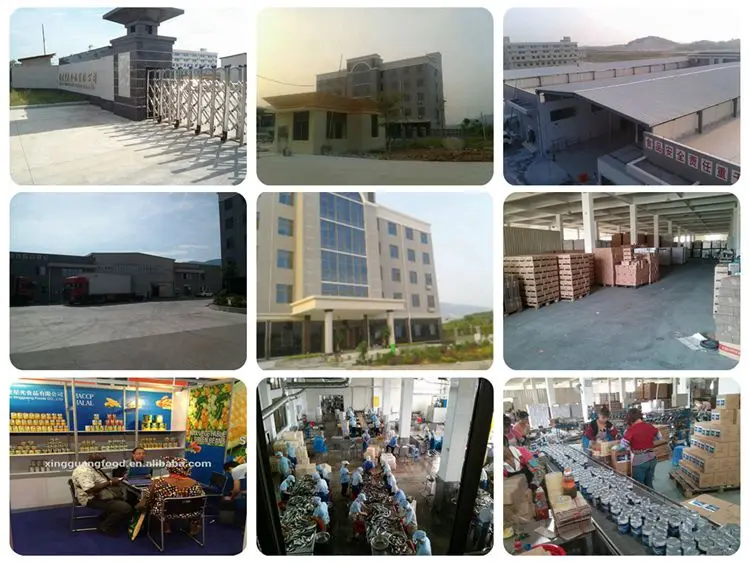 Оптовая продажа с завода Zhangzhou, консервированные морепродукты, тунец