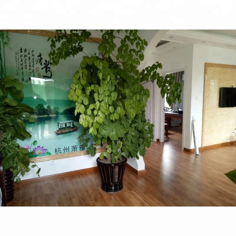 Light steel structure villa with metal carved steel decoration panel