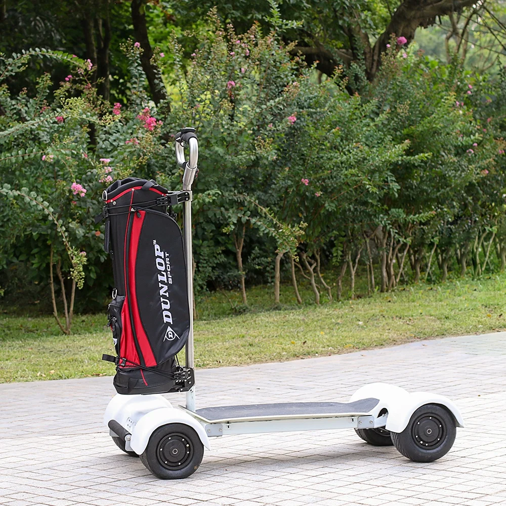 Newest longboard electric golf skateboard scooter with remove golf holder
