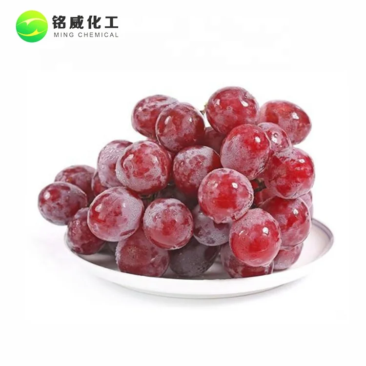 Unsweetened Natural Spray Dried Grape Pulver SD Grape Powder Bulk
