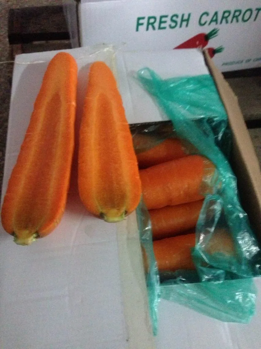 
Fresh Style and Umbelliferous Vegetable Product Type Fresh Carrot 