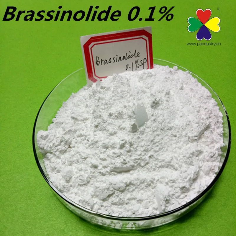 
28-homo brassinolide 0.1%sp steroid powder , natural brassinolide cas 72962-43-7 