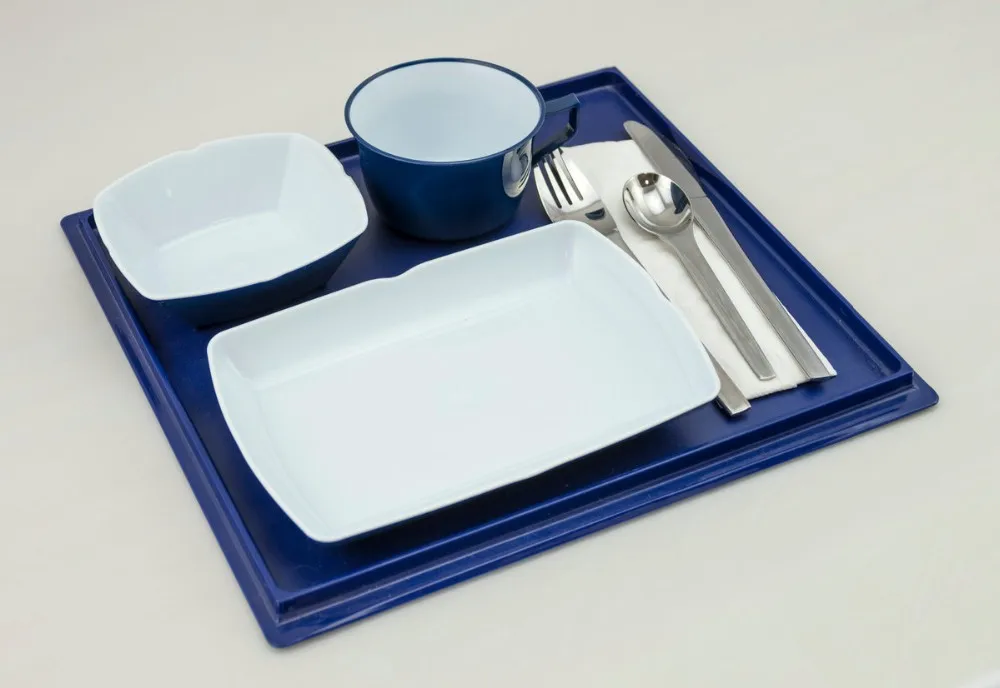 Hotel Aviation Food Serving Reusable Plastic Airline Tableware