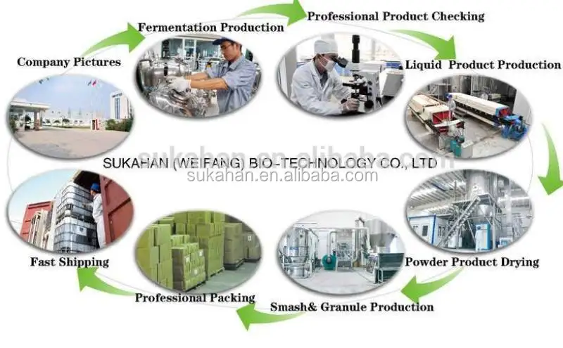 Starch Conversion Amylase Enzyme for Pulp