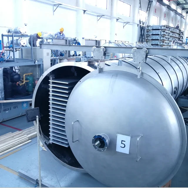 Middle production type food lyophilizer fruit food vacuum freeze drying machine food freeze dryer