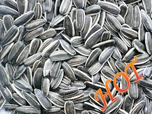 
Sunflower Kernel Seeds High quality natural from manufacturing company 
