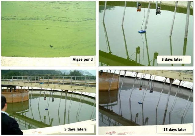 Ultrasonic algae devices used for river