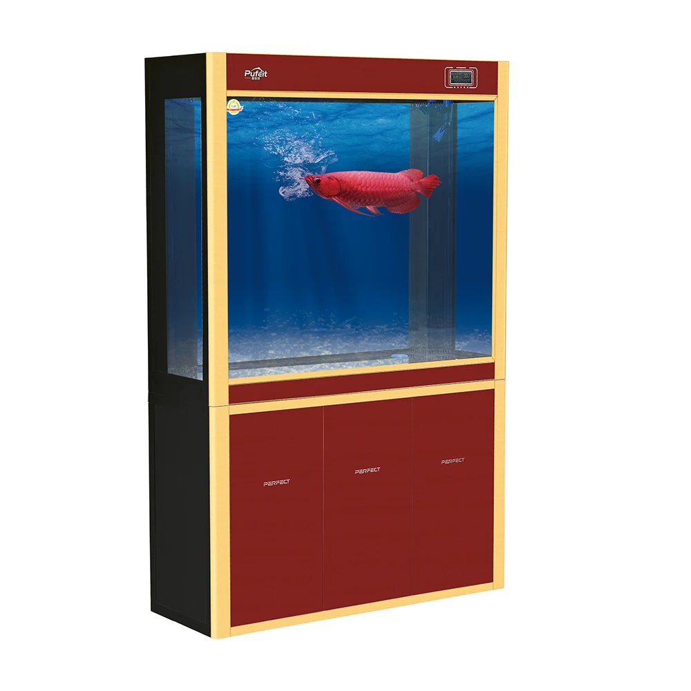 Chinese Supplier Arowana Large Glass Fish Tank