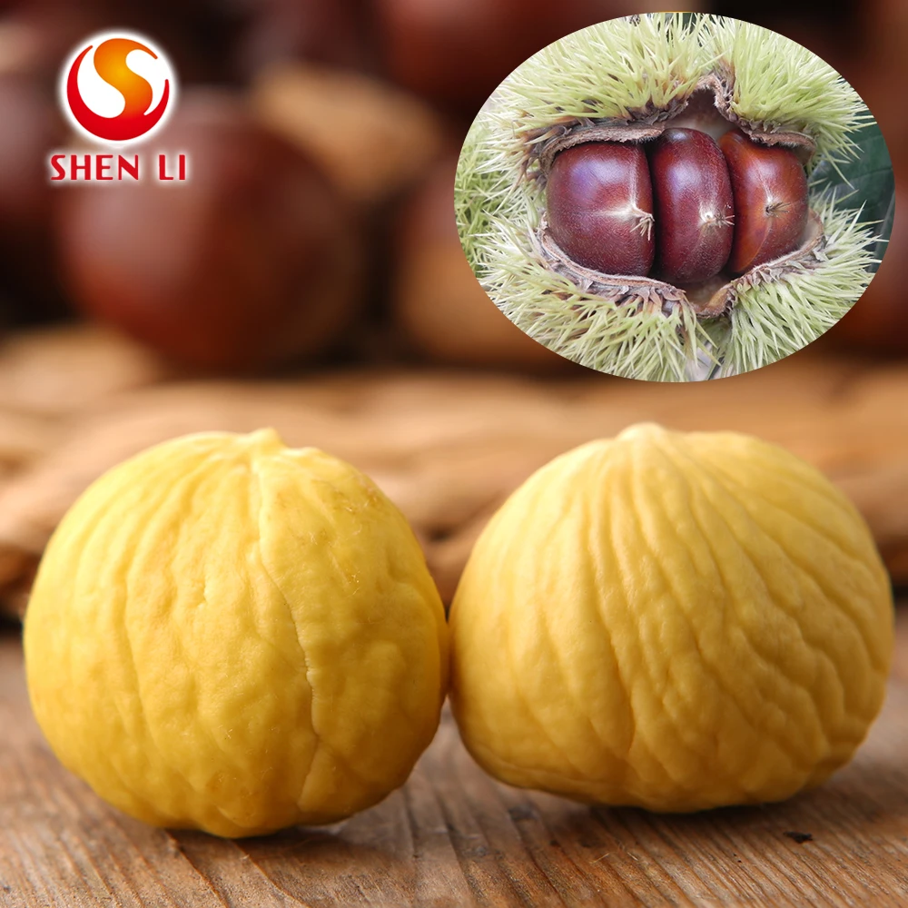 Горячий продавать самые дешевые свежий каштан в китае