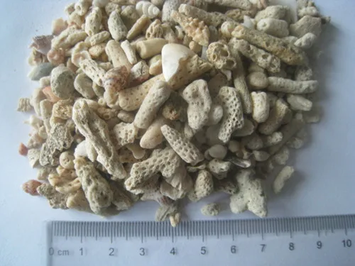 
Blue Treasure Philippines Coral Sand 