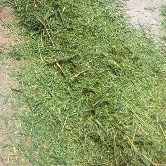 animal feed 690 Multi-functional hammer mill crusher / grinder for maize