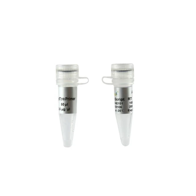 
EasyScript Reverse Transcriptase [M-MLV, RNase H-]-RT Enzyme/ cDNA Synthesis Kit by TransGen Biotech 