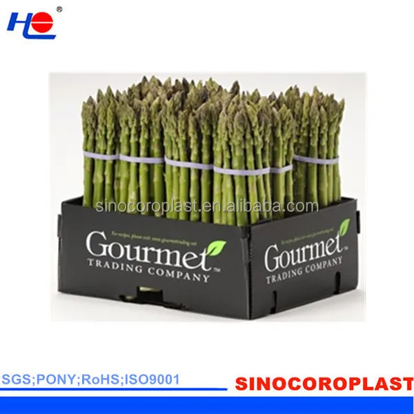 Fruit Packing Corrugated PP Plastic Flute Box