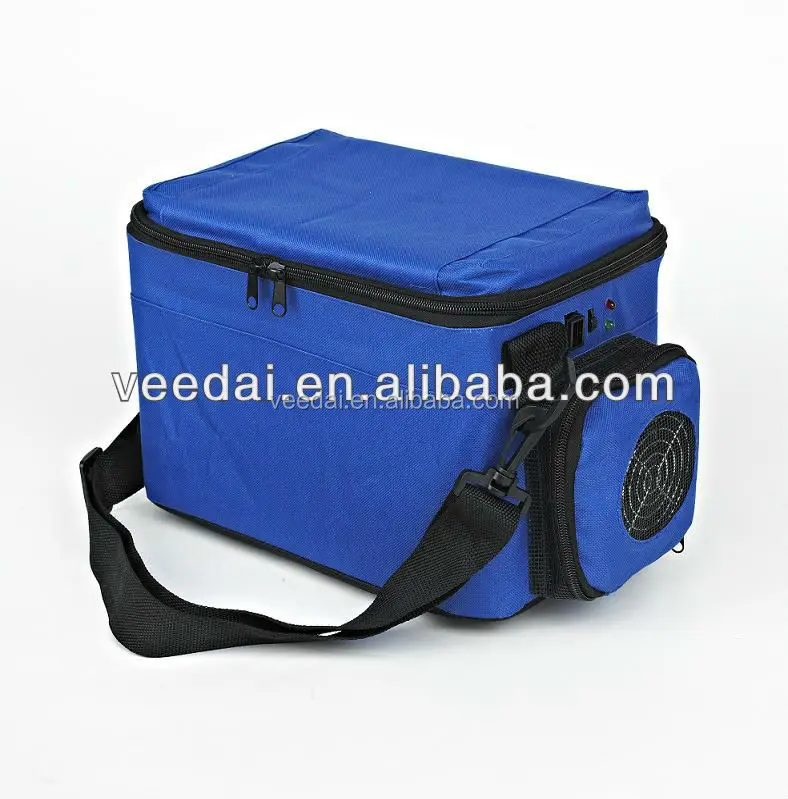 5L Insulated Car Fridge Cooler Warmer Bag 12V Food Innovative Insulated Cooler Bag for Ice Cream Nylon Cooling Bag Supplier ETC5
