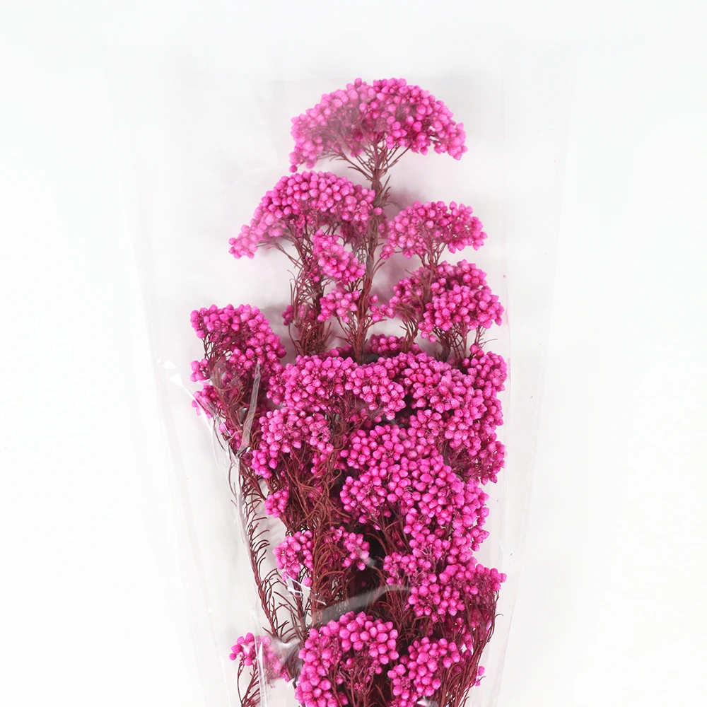 
Preserved Flowers Wholesale from Yunnan 
