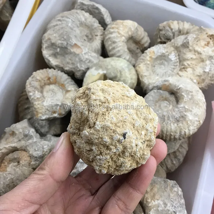 Wholesale natural crystal healing agete geode Rough quartz geode