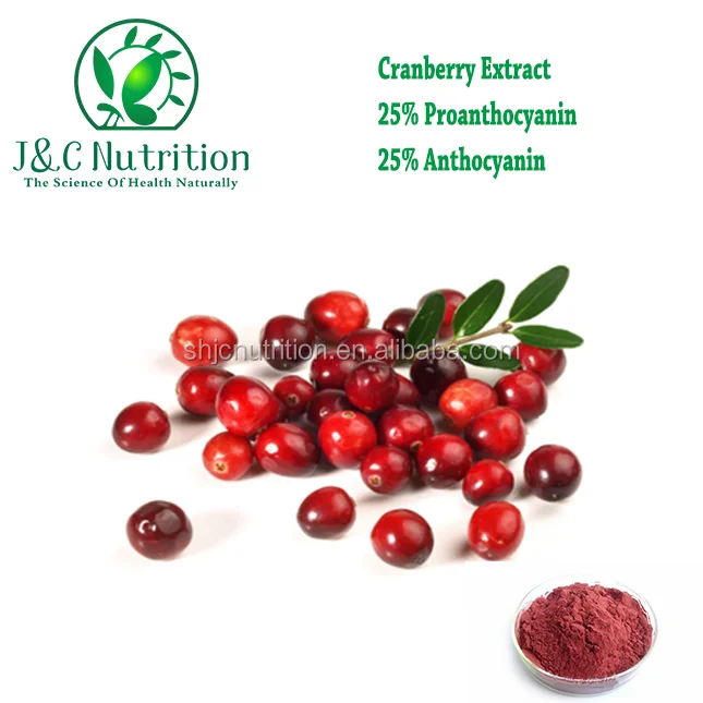 Hot selling High Quality Proanthocyanidins Powder Cranberry Extract, Cranberry powder