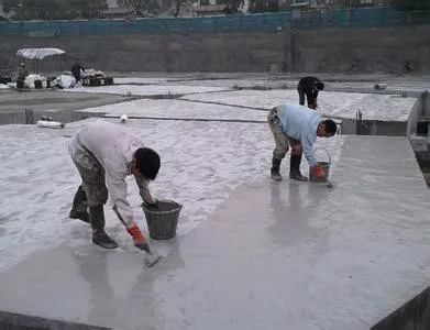 
High Elastic Liquid Acrylic Water Resistant Paint for Concrete Roof Surface 