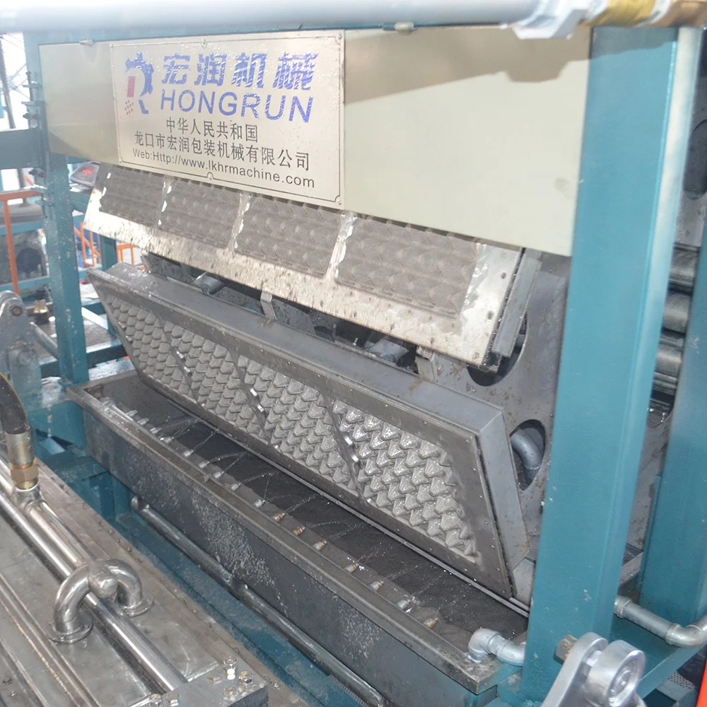 Paper Recycling Machine Egg Tray/Carton Making Machine With dryer line